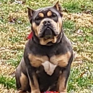 Meet your Posher, Tj